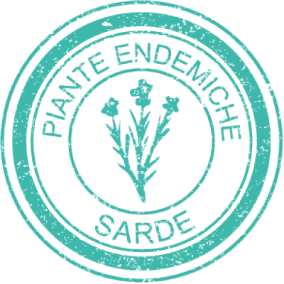 it-8-piante-endemiche-sarde.png